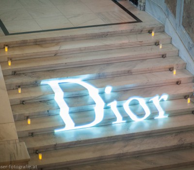 84_Dior_027.jpg